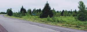 Dignam - Land For Sale In New Brunswick