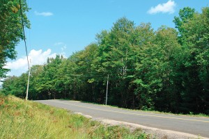 Land For Sale Ontario - 4565-ON