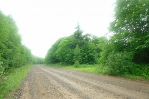 Sharbot Lake road