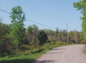 Dignam - Land For Sale In Southern Ontario