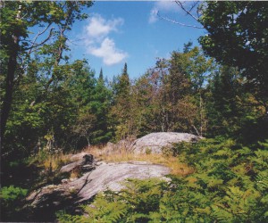 Dignam - Land For Sale In Southern Ontario
