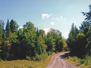 Land For Sale In Ontario - 4589-ON