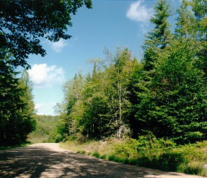 Land For Sale In Ontario - 4589-ON1