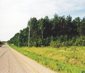 Dignam - Land For Sale In Northern Ontario
