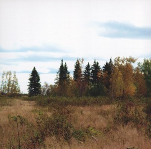 Land For Sale In Ontario - 4599-ON-2