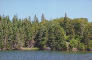 Land For Sale Nova Scotia - 2080-NS