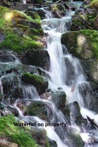 Waterfall of property at Warnock Lake
