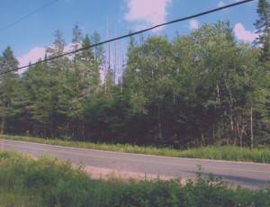 Small cottage lot available in Parry Sound
