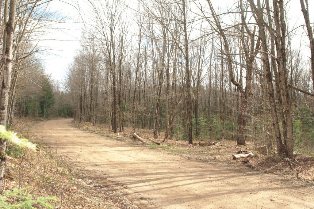 Gut Conservation Reserve Land for Sale Dignam Land Land for Sale in