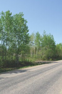 image of a bush lot for sale