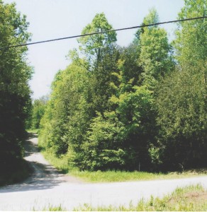 roadside access to forested lot