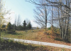 Roadside photo of property lot