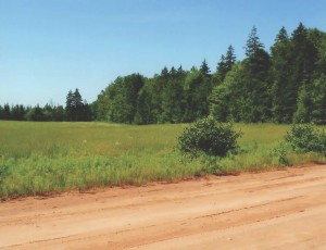 view of the property form the road