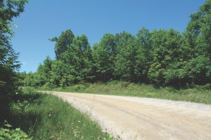 Lot for sale in Kingston Ontario