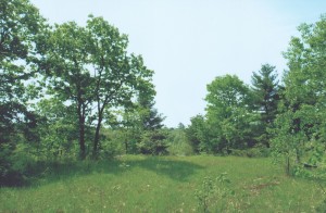 Lot for sale near Kaladar