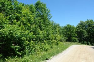 road side image