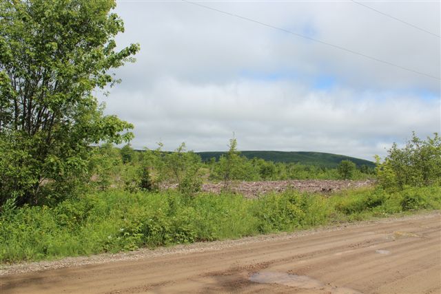 Land for sale in Cape Breton Island