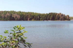 Water Front property for Sale
