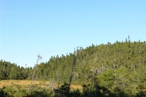 Newfoundland land for sale