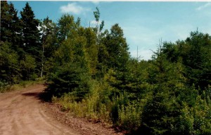 land for sale in PEI