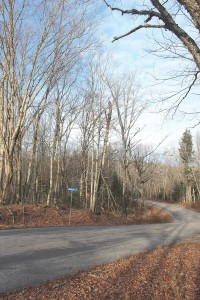 land for sale in Haliburton