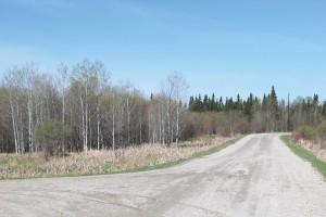 triangular shape property for sale