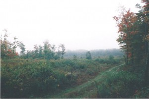 Lot for Sale in Algoma Ontario