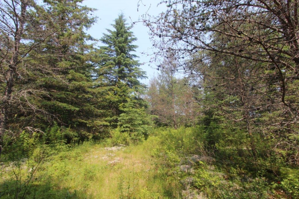 land for sale in Kawartha Ontario Dignam Land Land for Sale in Canada