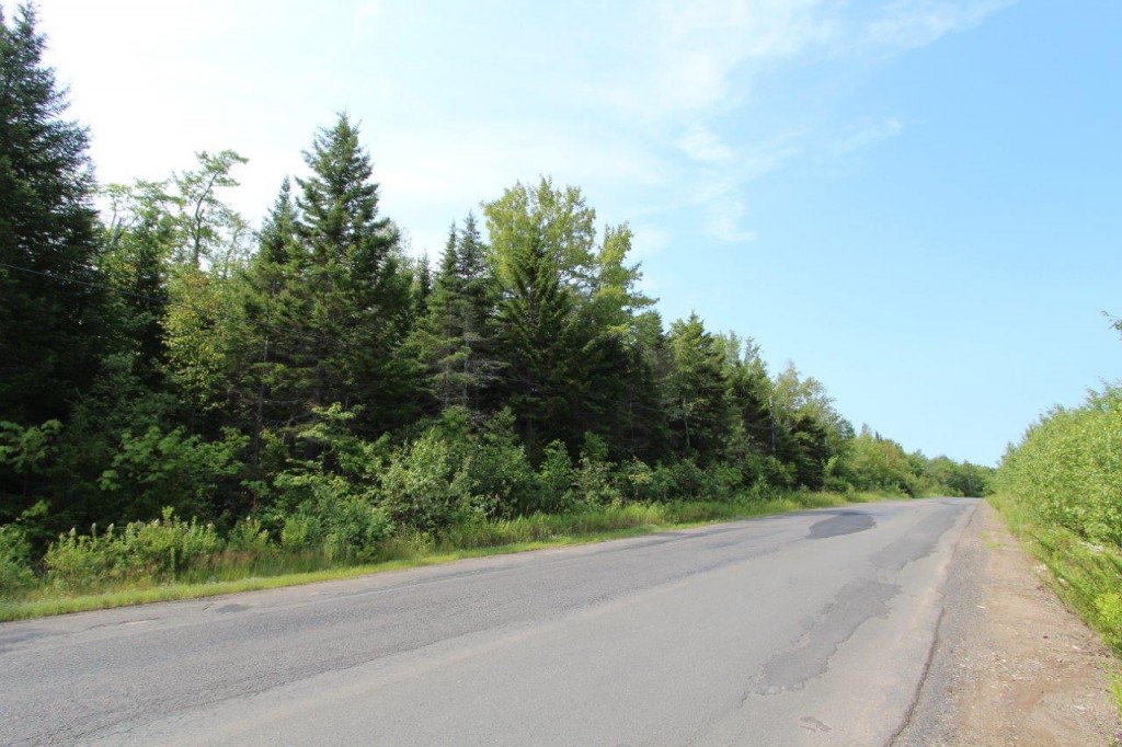 lot for sale New Brunswick Dignam Land