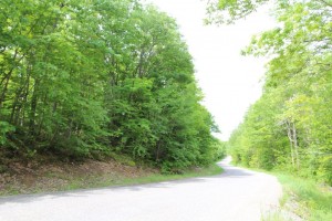 Land for sale in Algoma district