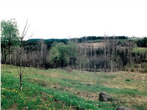 Property for Sale in the Coast District