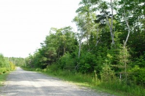 Vacant lot on Cape Breton Island