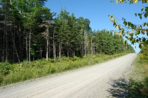 Vacant lot for sale Cape Breton Island