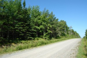 road side picture of property