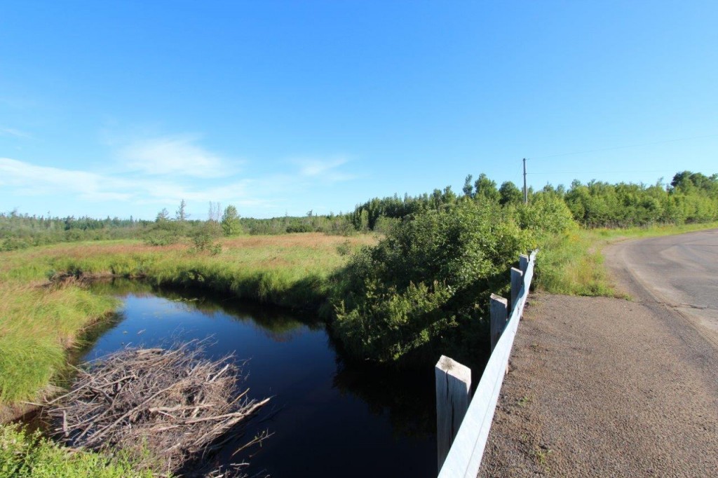 Nunn Land For Sale