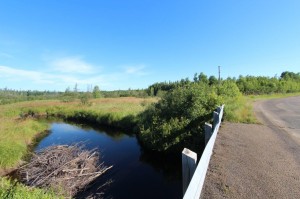 New Brunswick land for sale