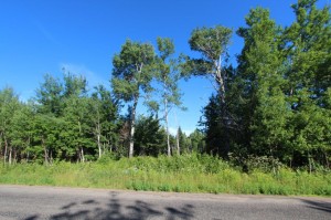 kent county land for sale