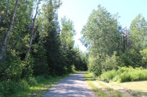 land for sale in Ontario