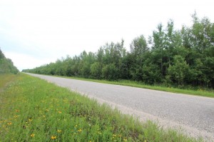 northern Ontario property for sale