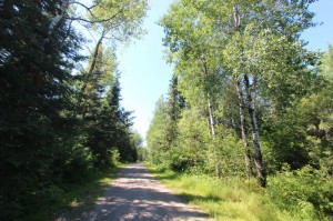 road leading to property