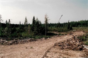 Northern Ontario land for sale