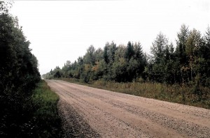 View of property from the road