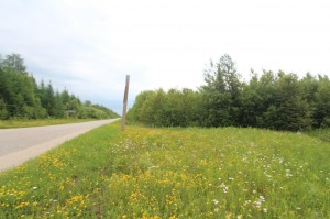 road view of property