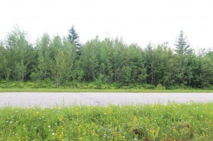 land for sale in Rainy River