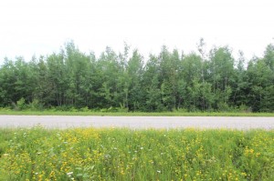 great land for hunting