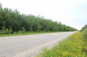 hunting property for sale in Ontario