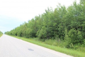 property in Northern ontario