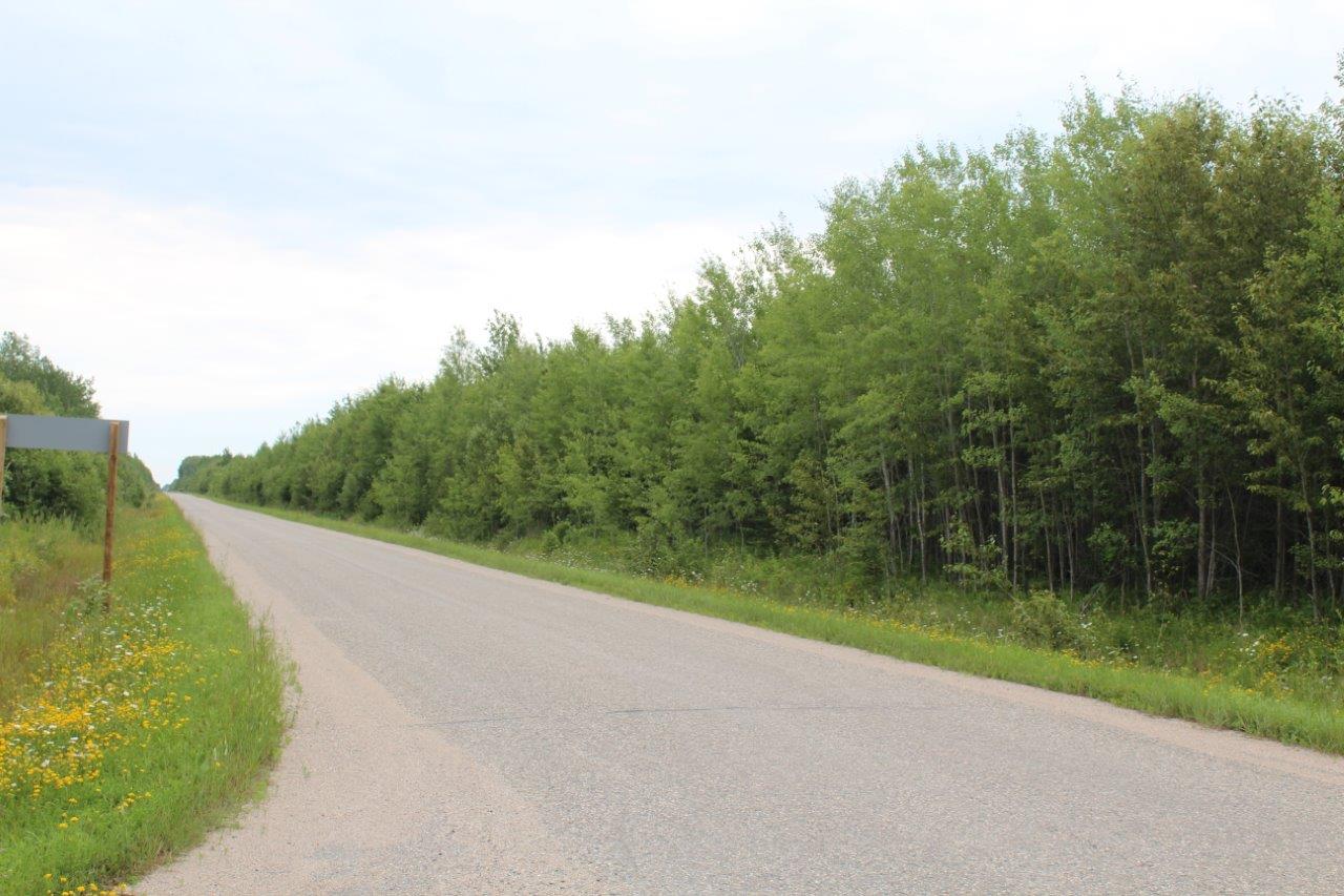 Land for Sale District of Rainy River, Ontario, 9.08 acres1280 x 853