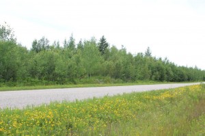 road frontage of property