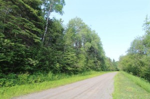 road in front of property